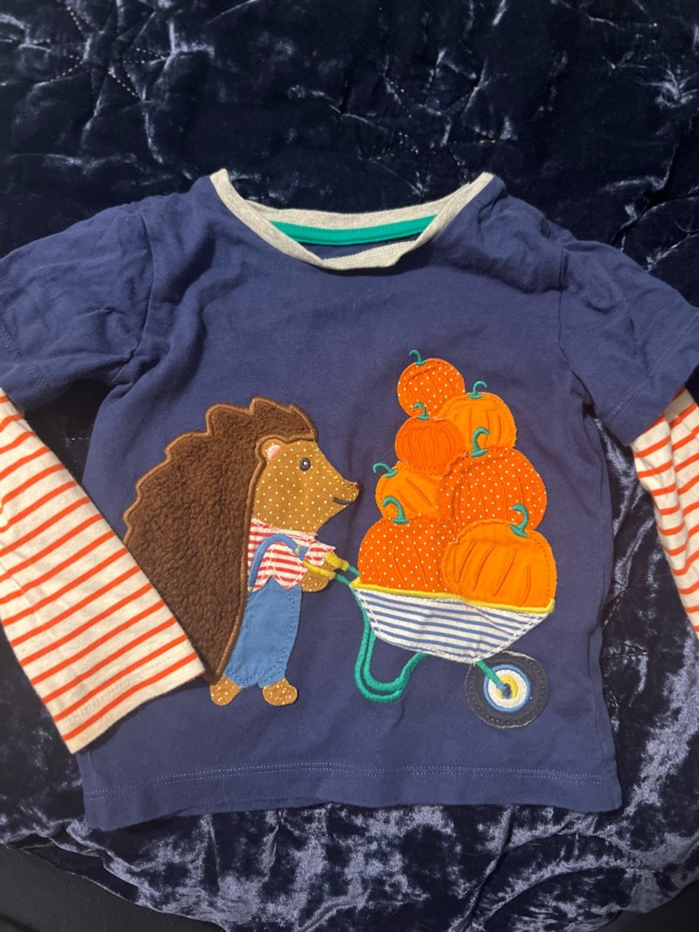 🎃 Mini Boden Hedgehog & Pumpkin Appliqué Shirt
